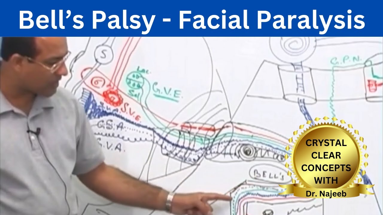 Bell’s Palsy | Facial Paralysis | Neuroscience
