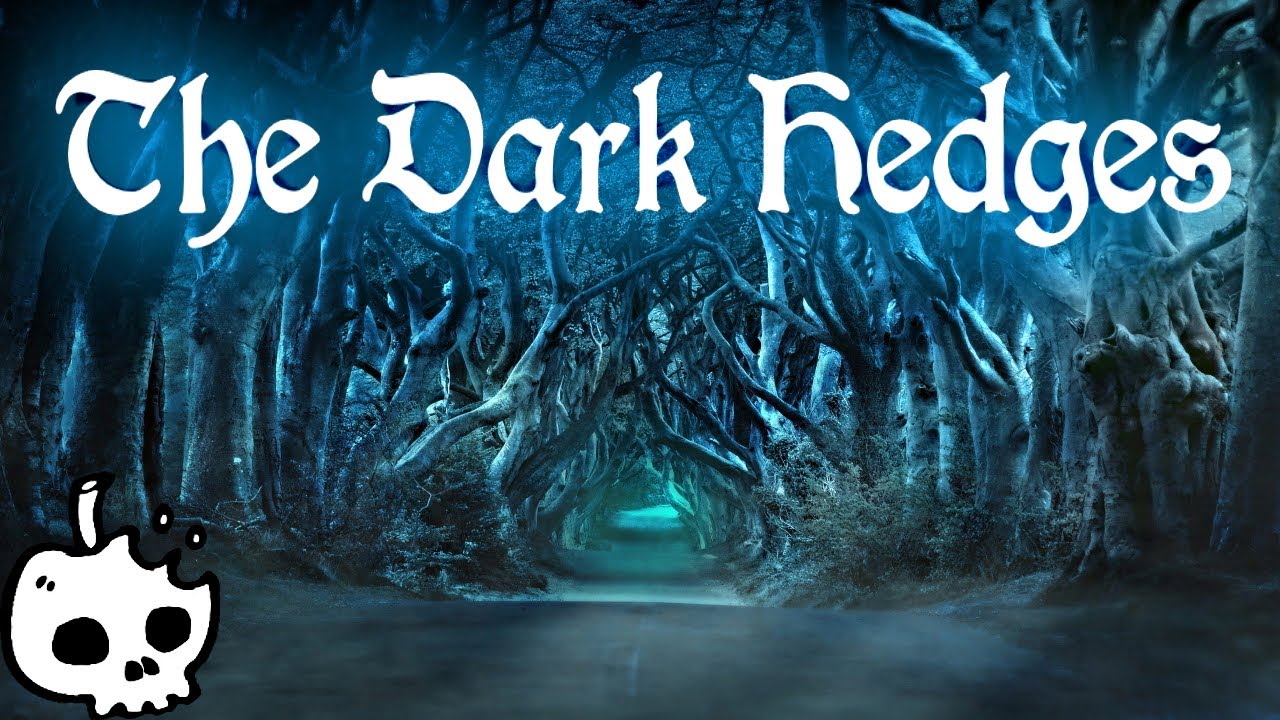 Legend of the Dark Hedges (Why is it so Dark?)