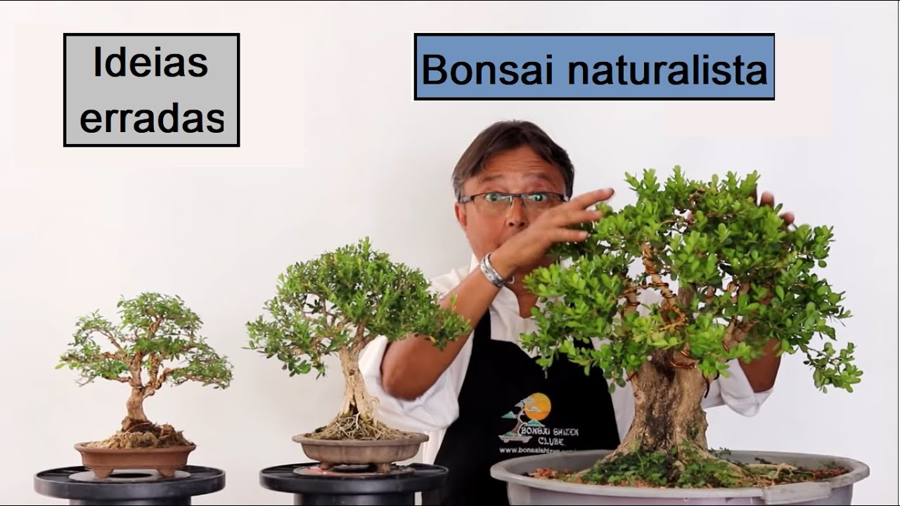 Idéias erradas do bonsai naturalista.