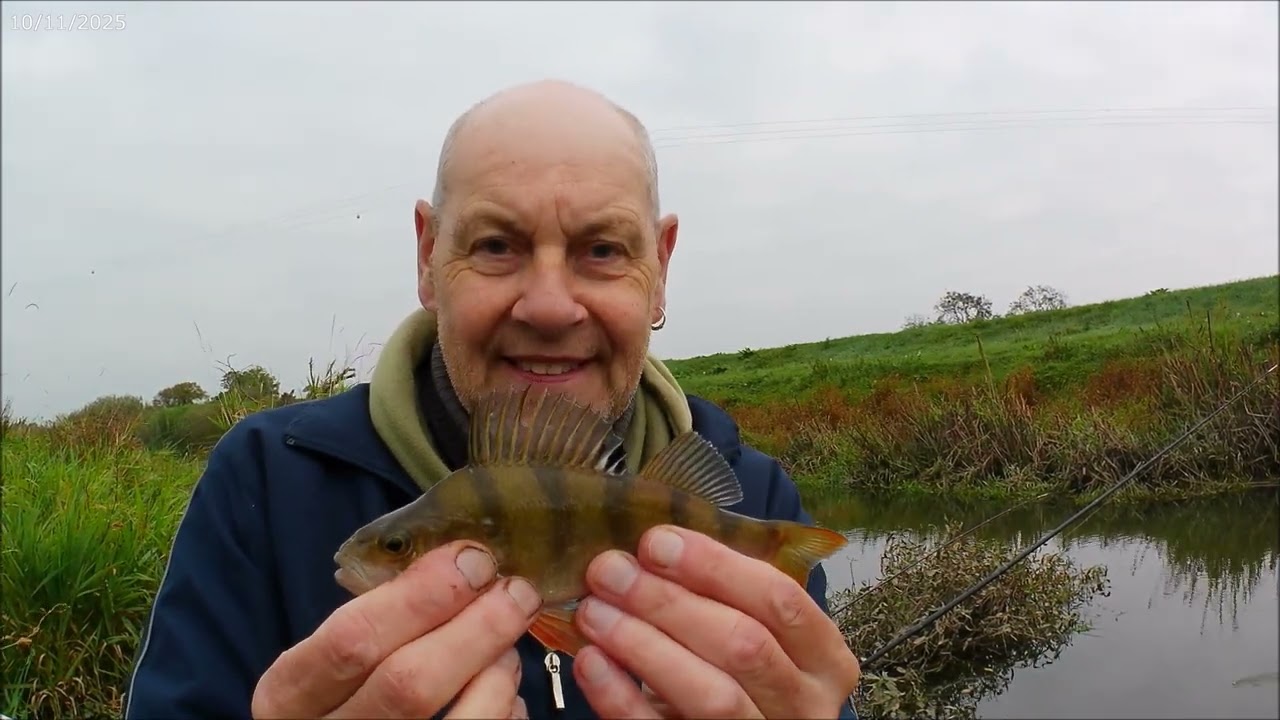 River Adur Betley Perch Session Sunday 12th October 2025