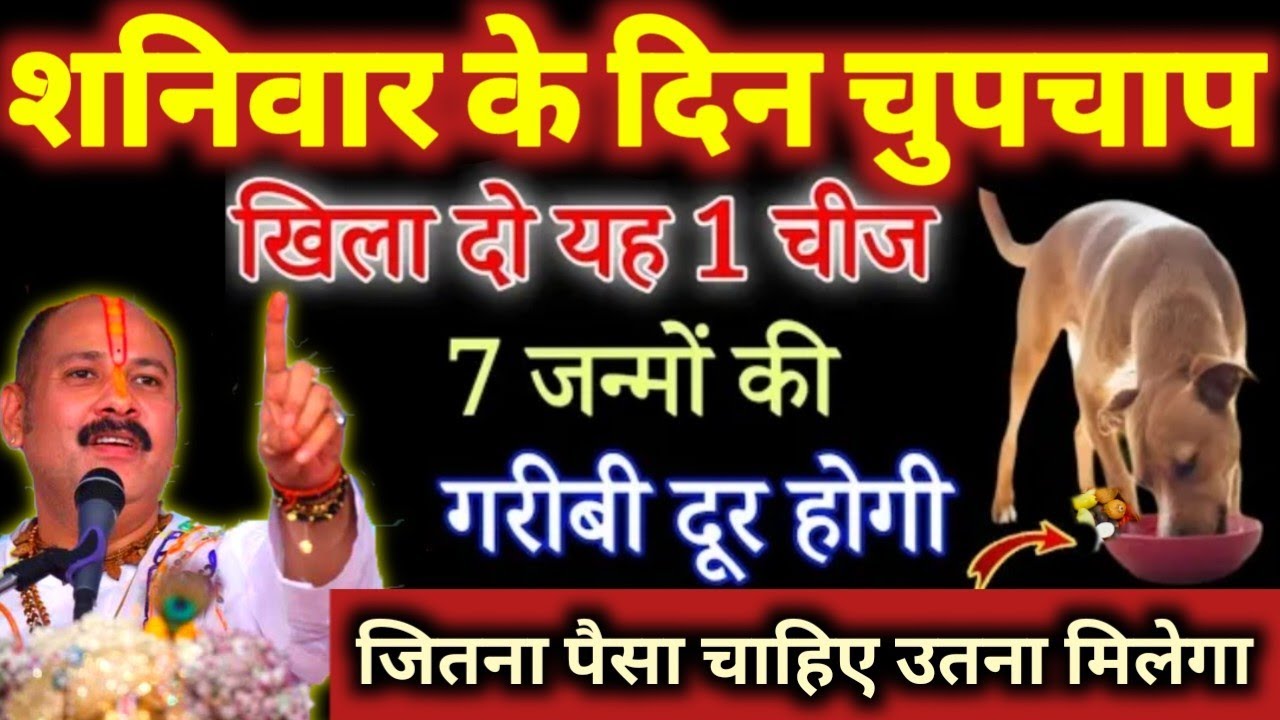 7 मार्च बड़ा शनिवार कुत्ते को खिला दें ये 1 चीज 7 जन्मों की गरीबी दूर होगी रोडपति भी होंगे करोड़पति