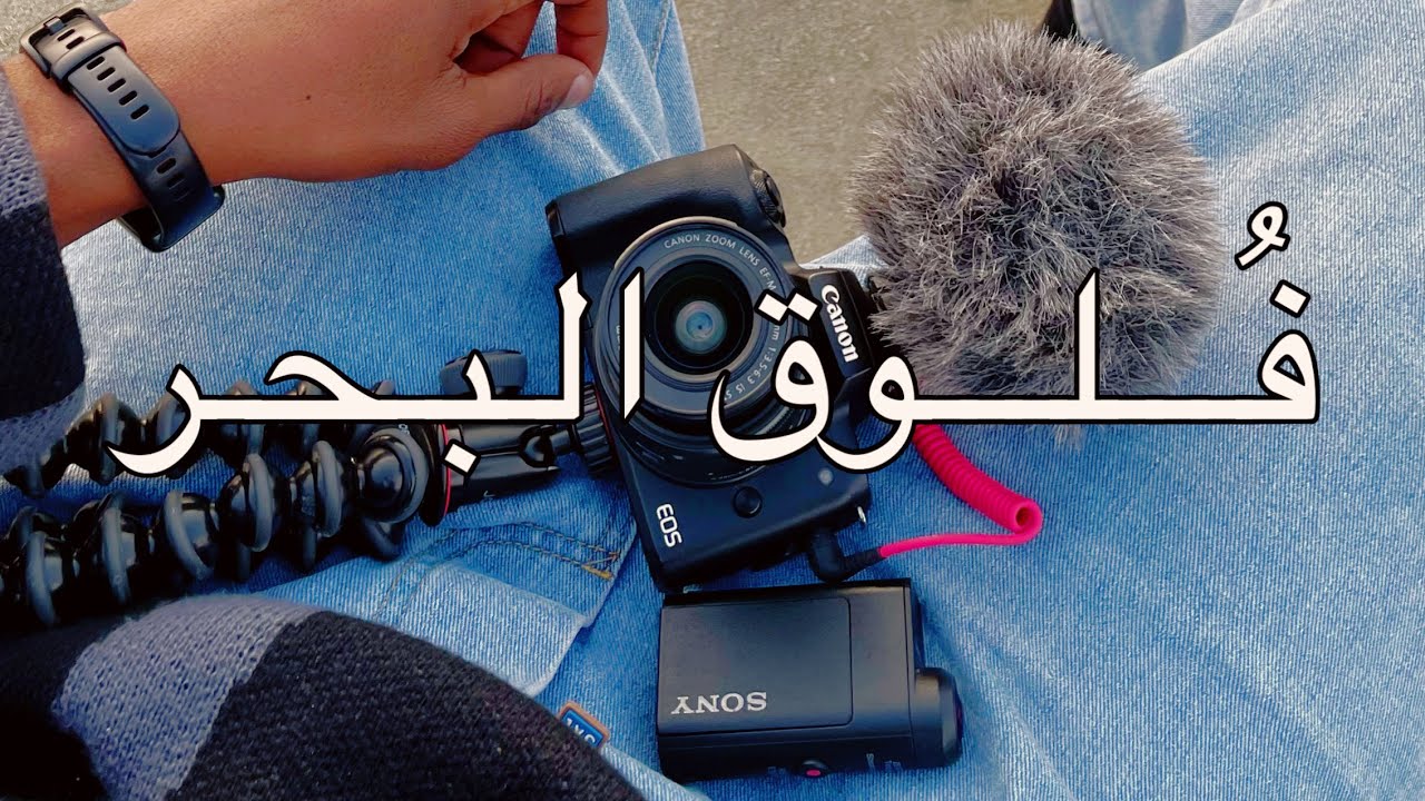 المكان السري ⛵️