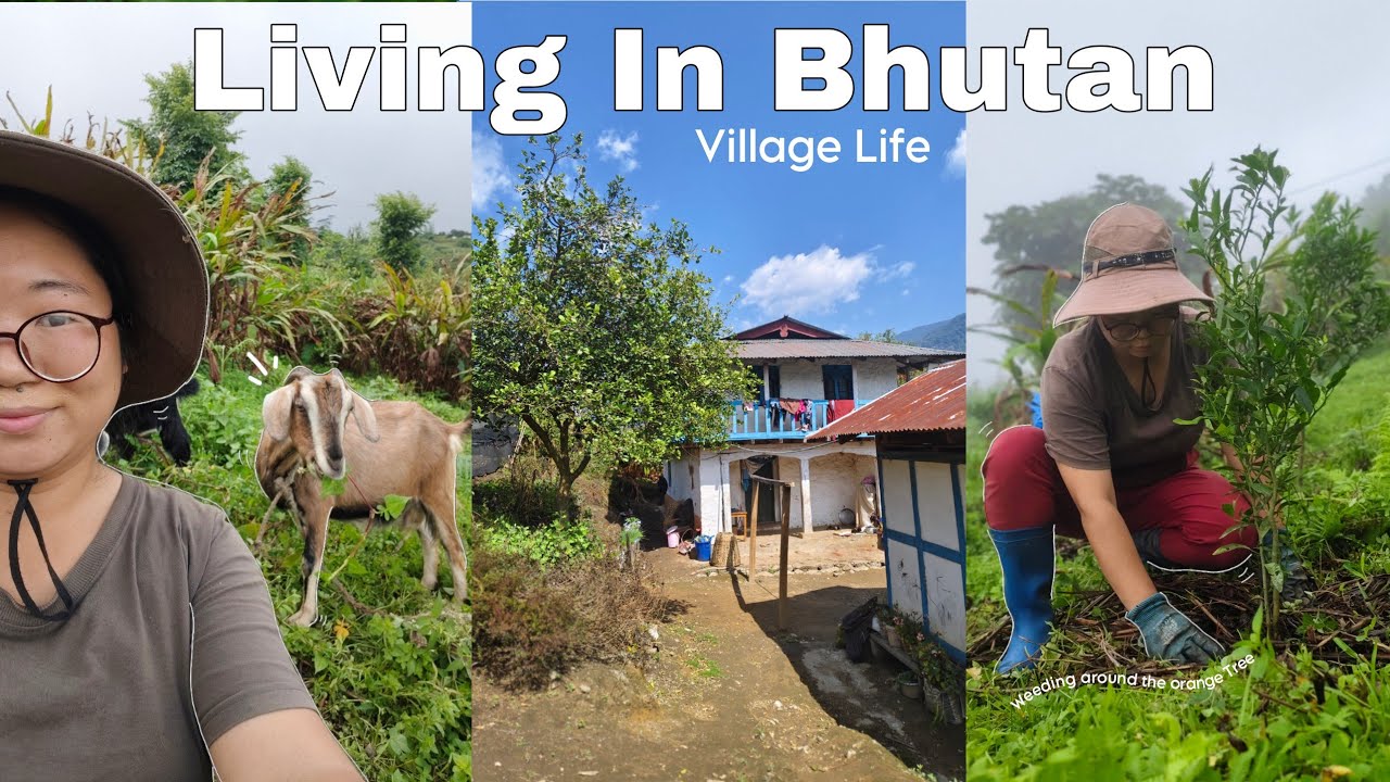 Living In BHUTAN | Life in a Remote Village | Asian Village Life 