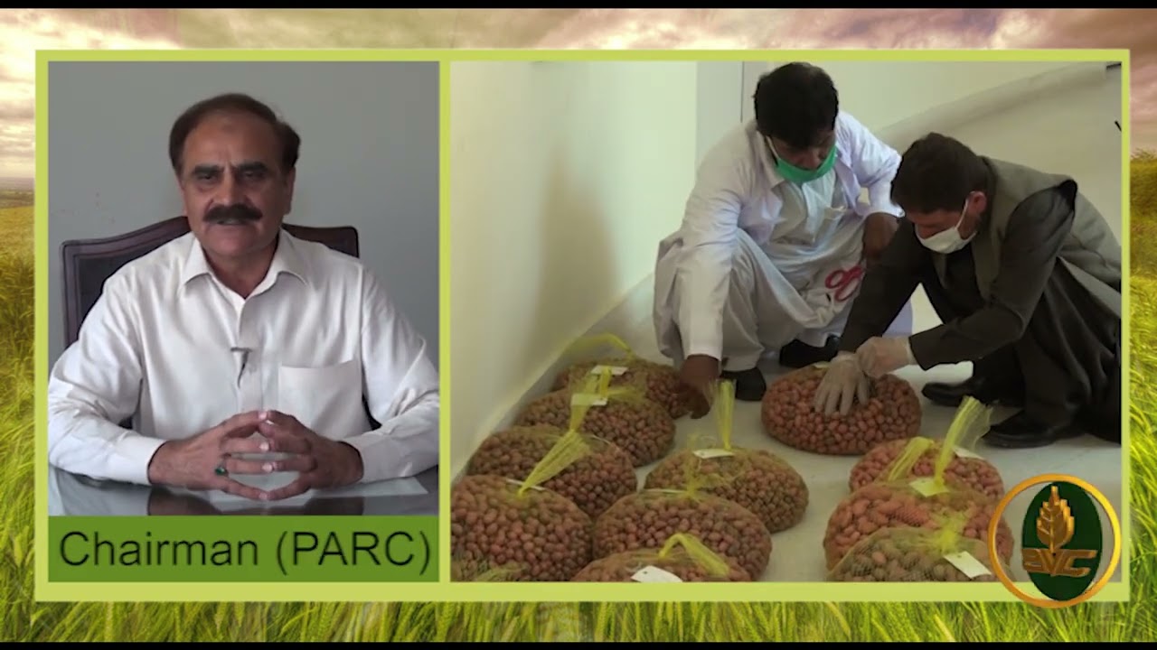 #PARC Dr. Ghulam Muhammad Ali Chairman PARC Message about Rice | Rice Farming from seed to Harvest