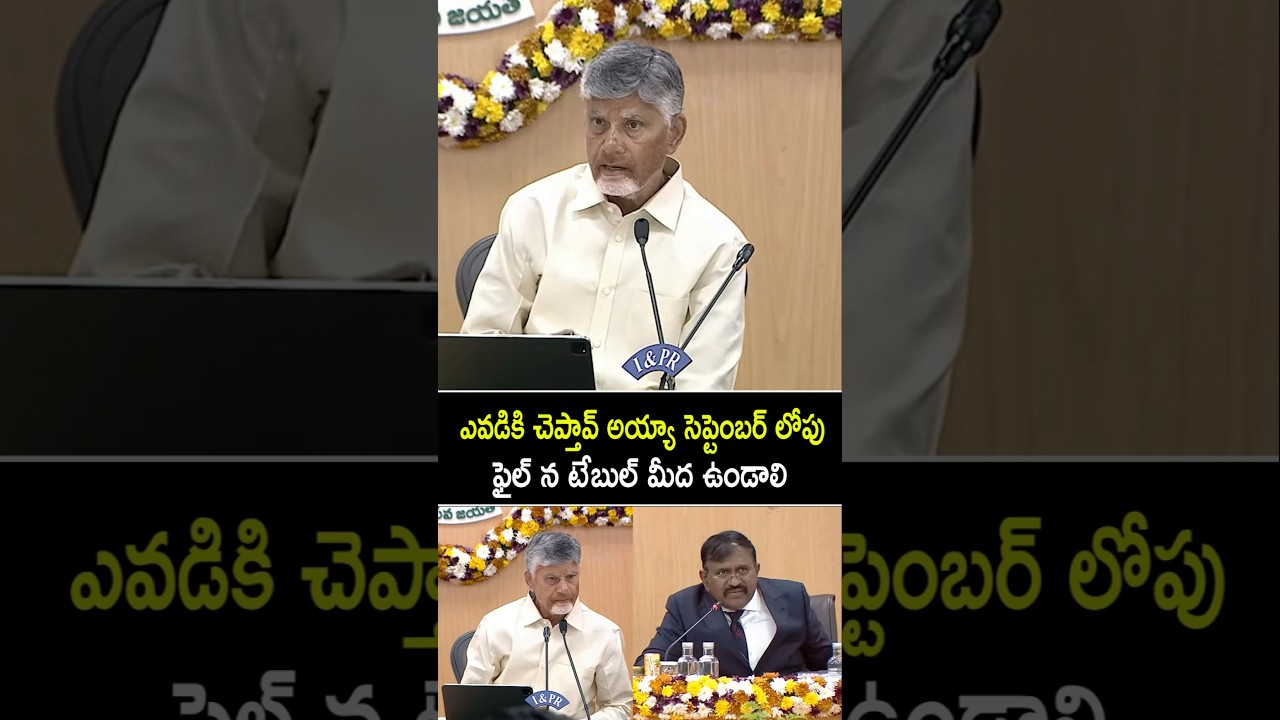 CM Chandrababu Debate With Collectora Over Their Delay