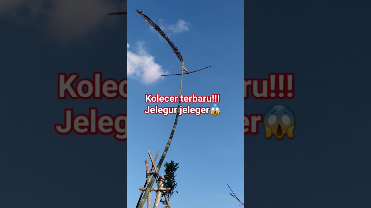 kolecer jelegur
