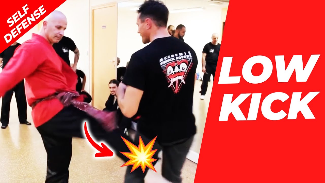 How to do a LOW KICK? (self defense)