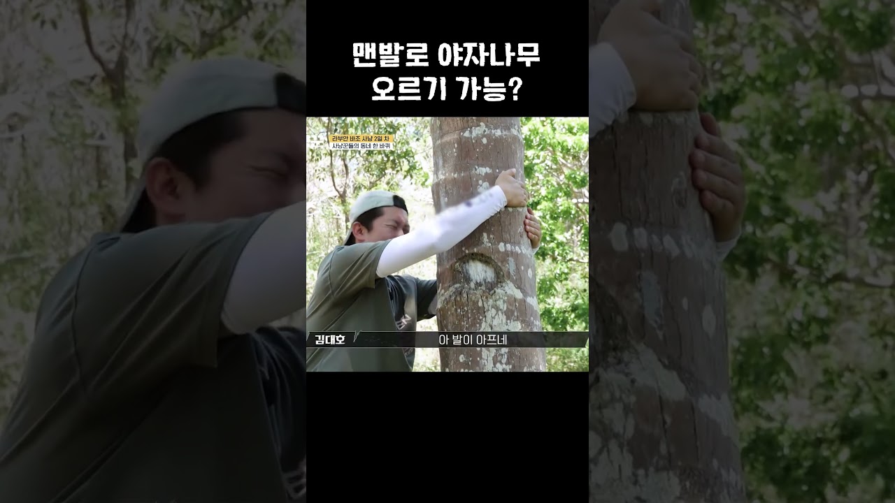 맨발로 나무 오르기 가능?😮 