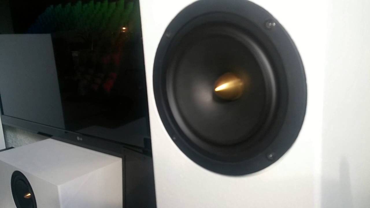 Tuby Tang Band W5-2106