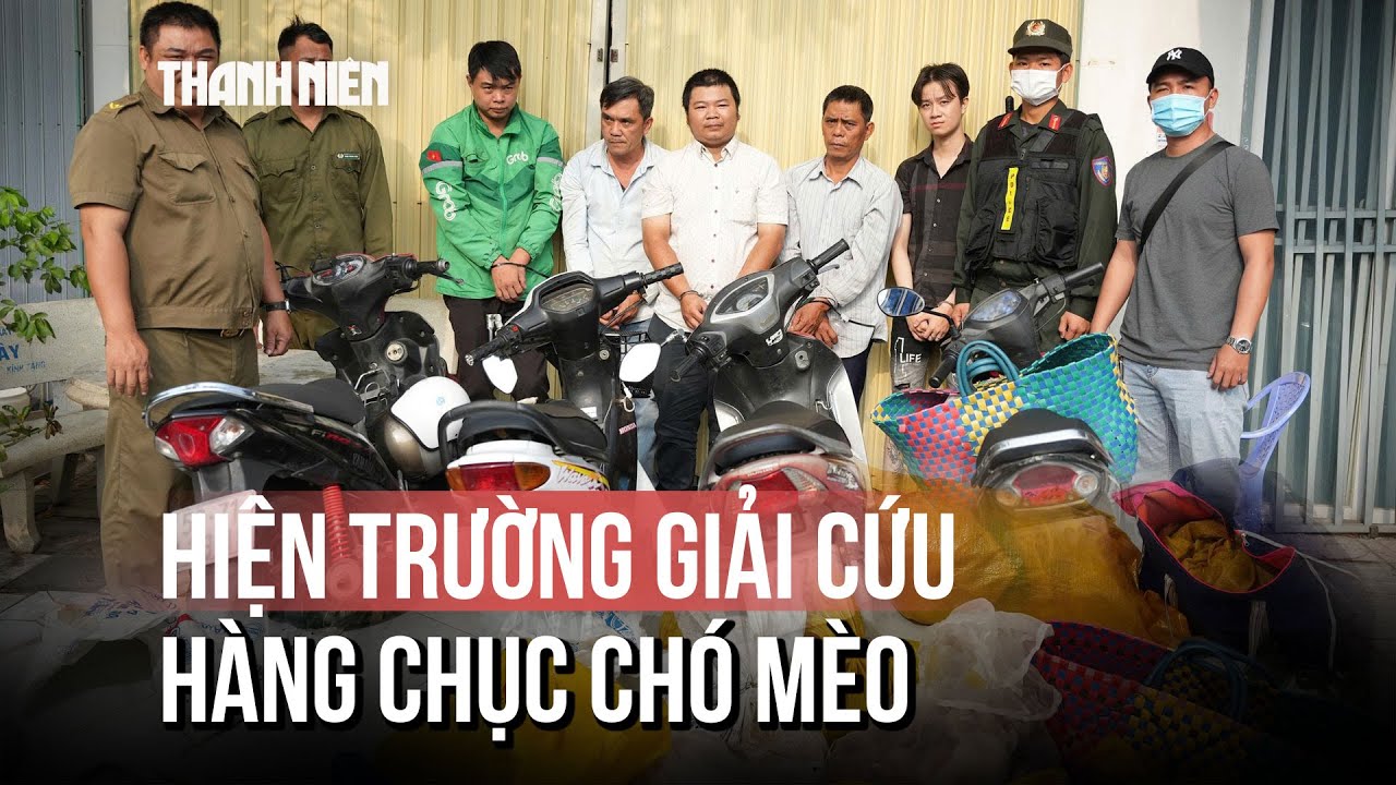 Công an TP.HCM giải cứu kịp thời nhiều chó mèo bị "bắt cóc" đang chờ tiêu thụ