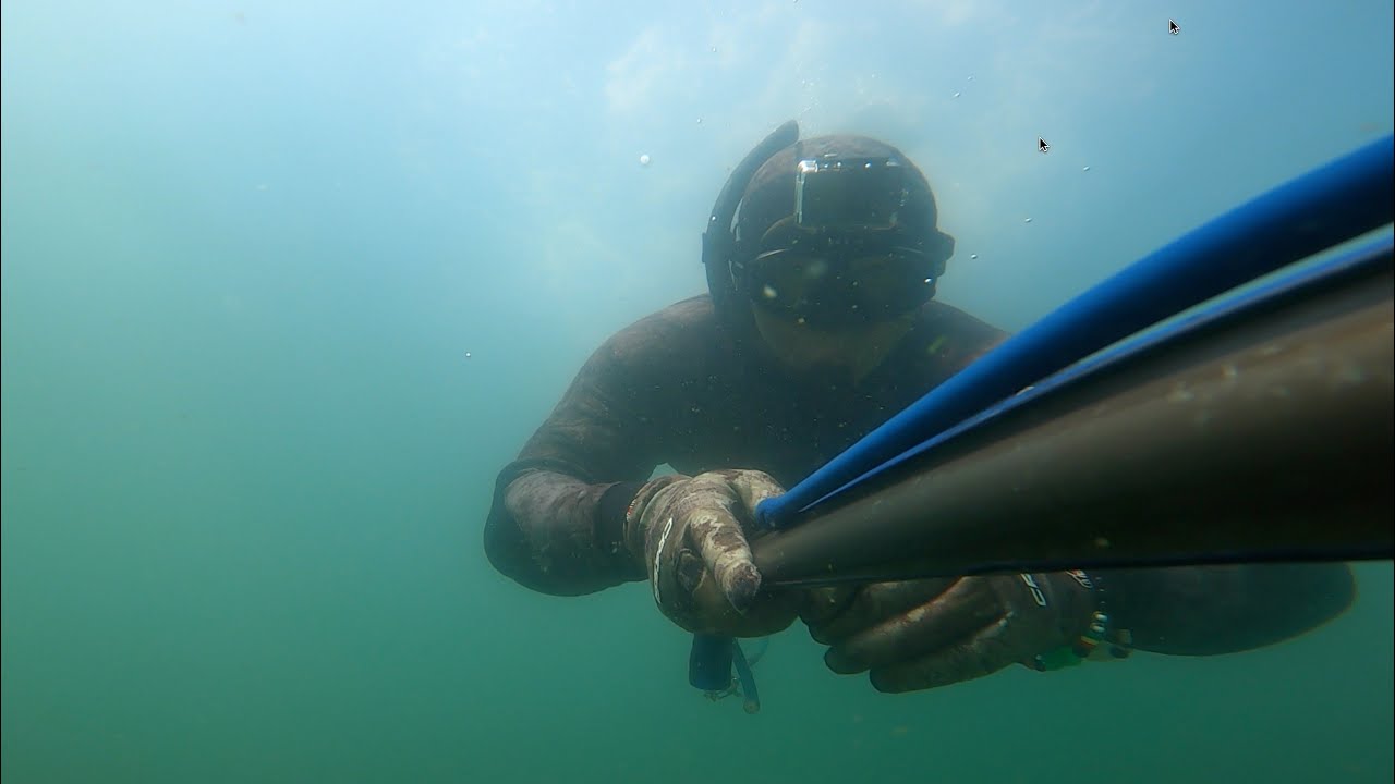 Spearfishing - la perouse / bare island
