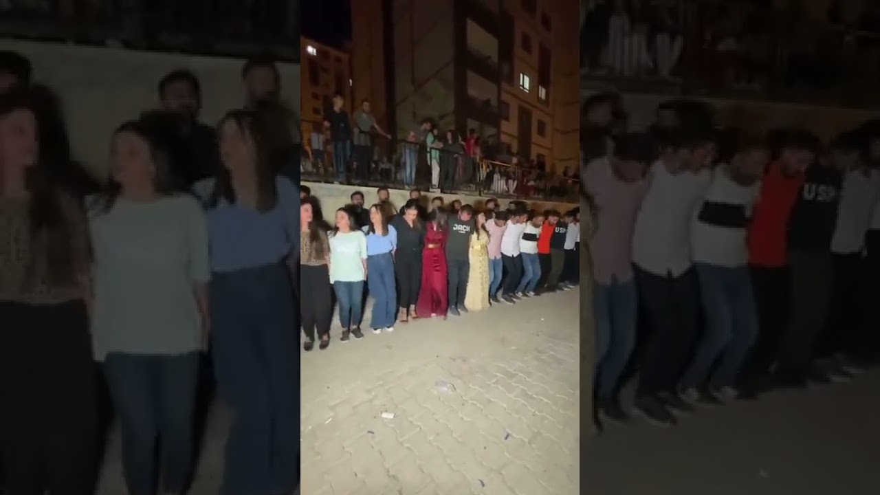Yavuz Caner Barkın Ailesi düğünü Hılavetın