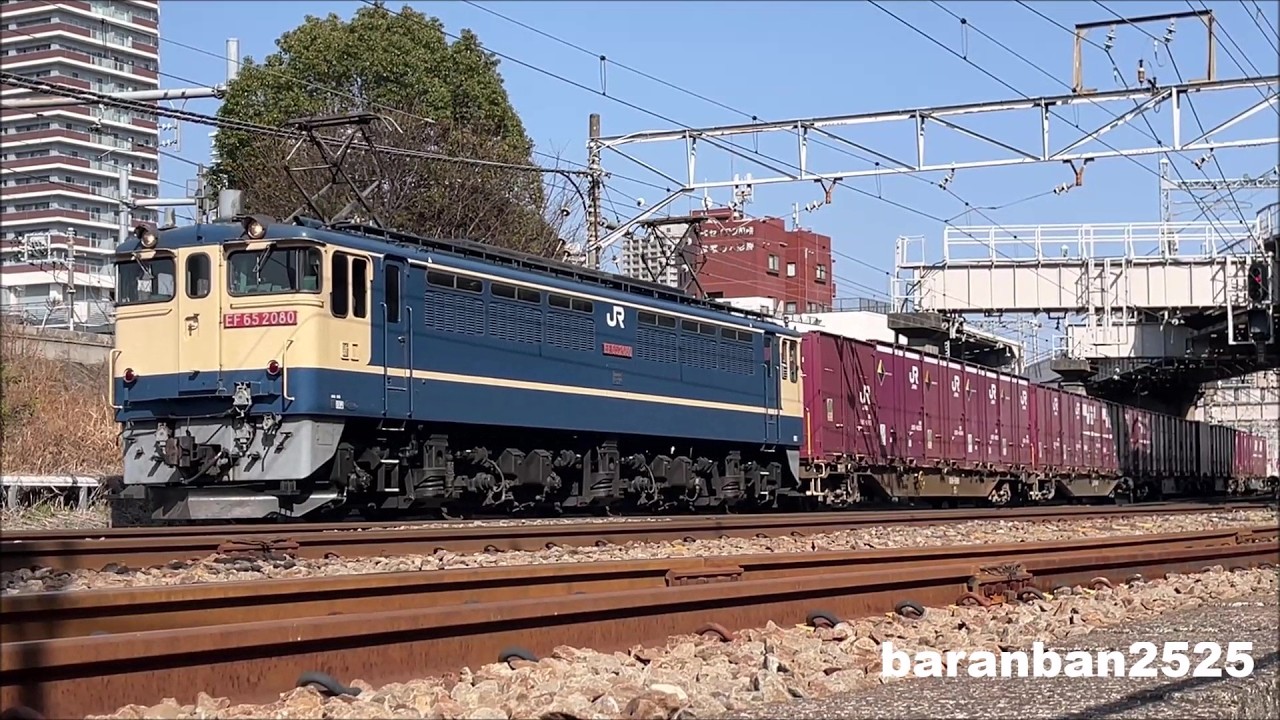 ドキュメント EF65-2080号機　 75レ 隅田川貨物駅到着～入換作業 2026.2.23