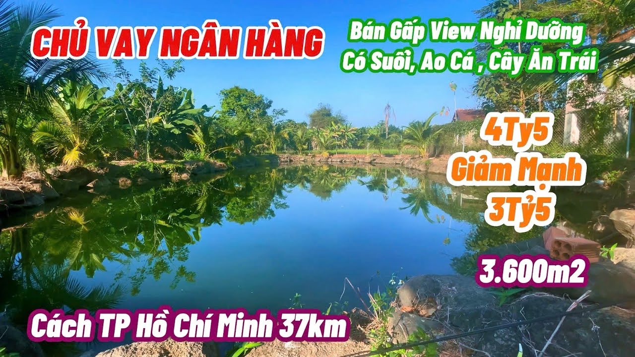 CHỦ VAY NGÂN HÀNG BÁN GẤP VIEW NGHỈ DƯỠNG Ở TRẢNG BOM ĐỒNG NAI. DT 3.600m2, SHR.