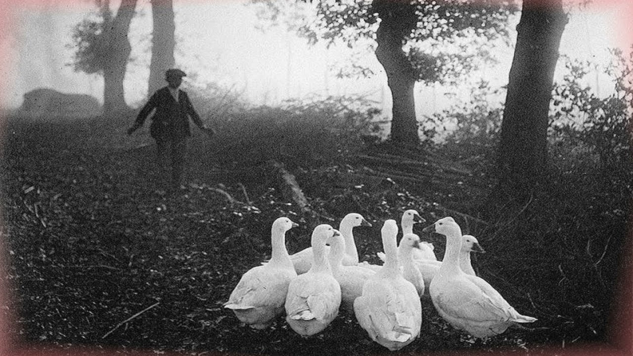 Ester Mägi | Symphony