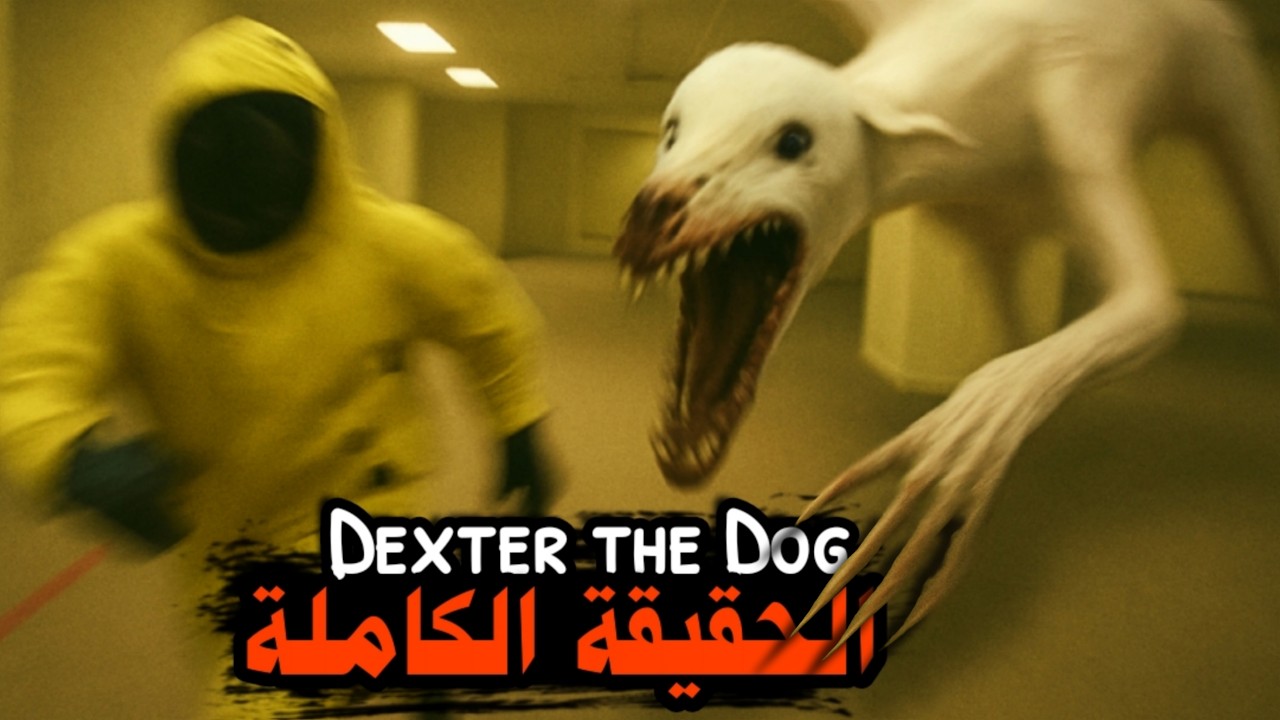 من أرعب ما أخرجت الباكرومز ؟ - dexter the dog analog horror