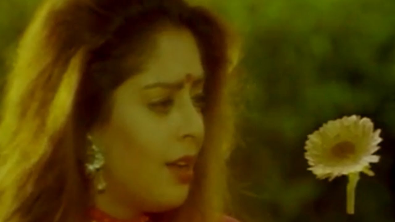 Love Birds Movie || Manasuna Mansuga Video Song || Prabhu Deva, Nagma