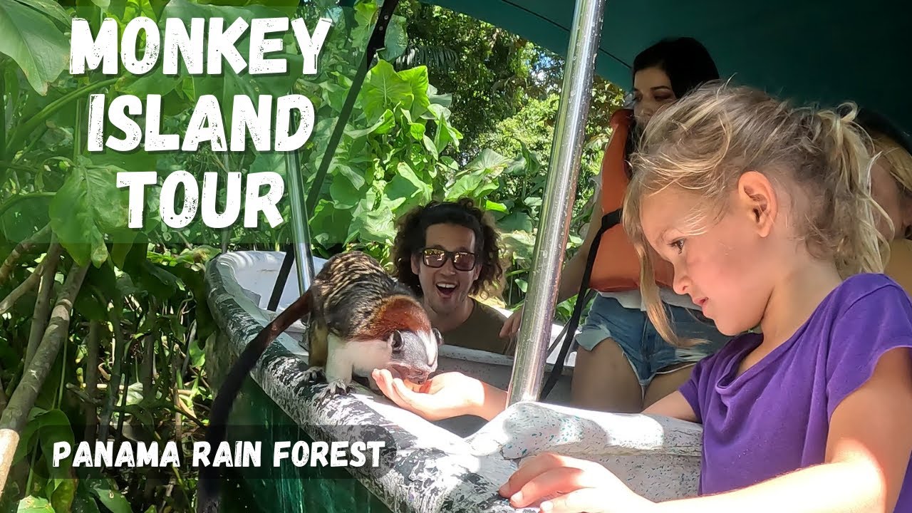Экскурсия по тропическому лесу и острову обезьян | New Leaf Panama Tours