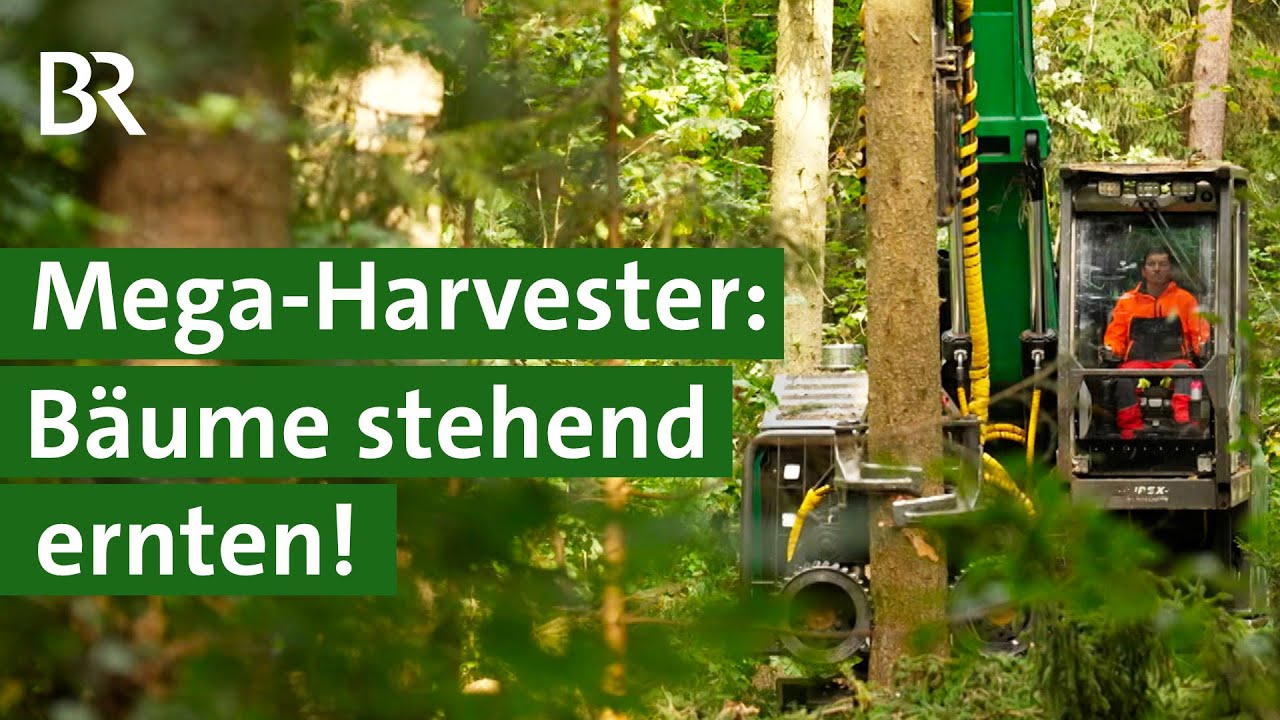 Schonende Holzernte im Wald mit XXL-Harvester Hannibal | Hightech Maschine | Unser Land | BR