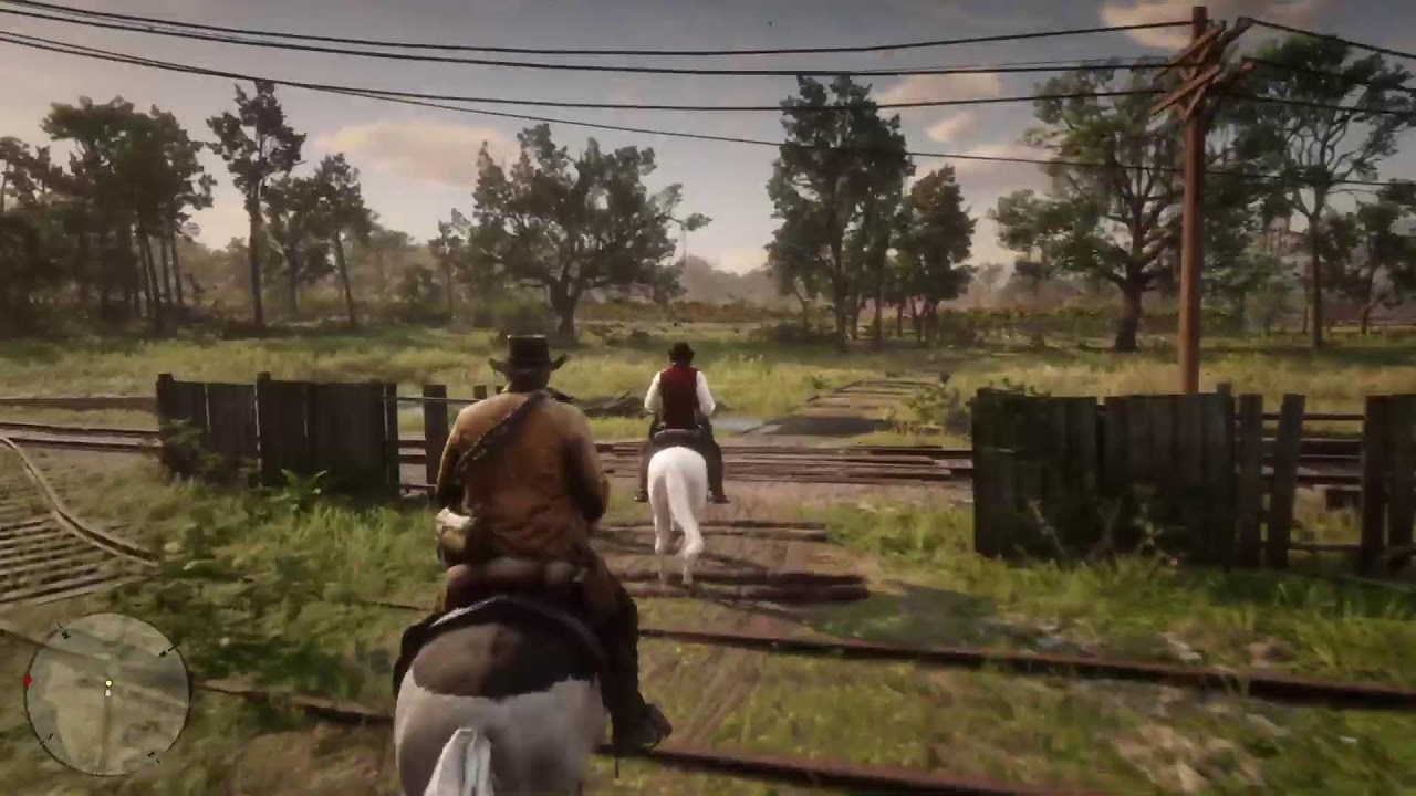 Red Dead Redemption 2 part 14