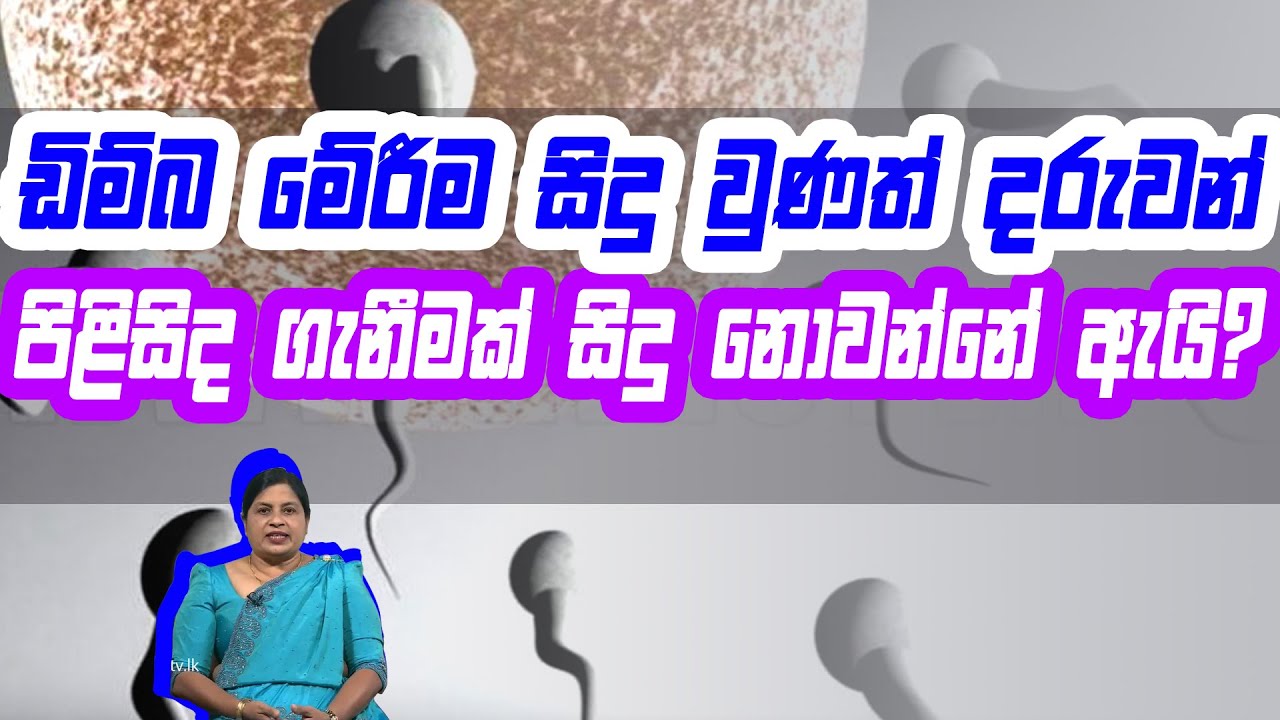 ඩිම්බ මේරීම සිදු වුණත් දරුවන් පිළිසිද ගැනීමක් සිදු නොවන්නේ ඇයි? | Piyum Vila | 22-09-2020|Siyatha TV