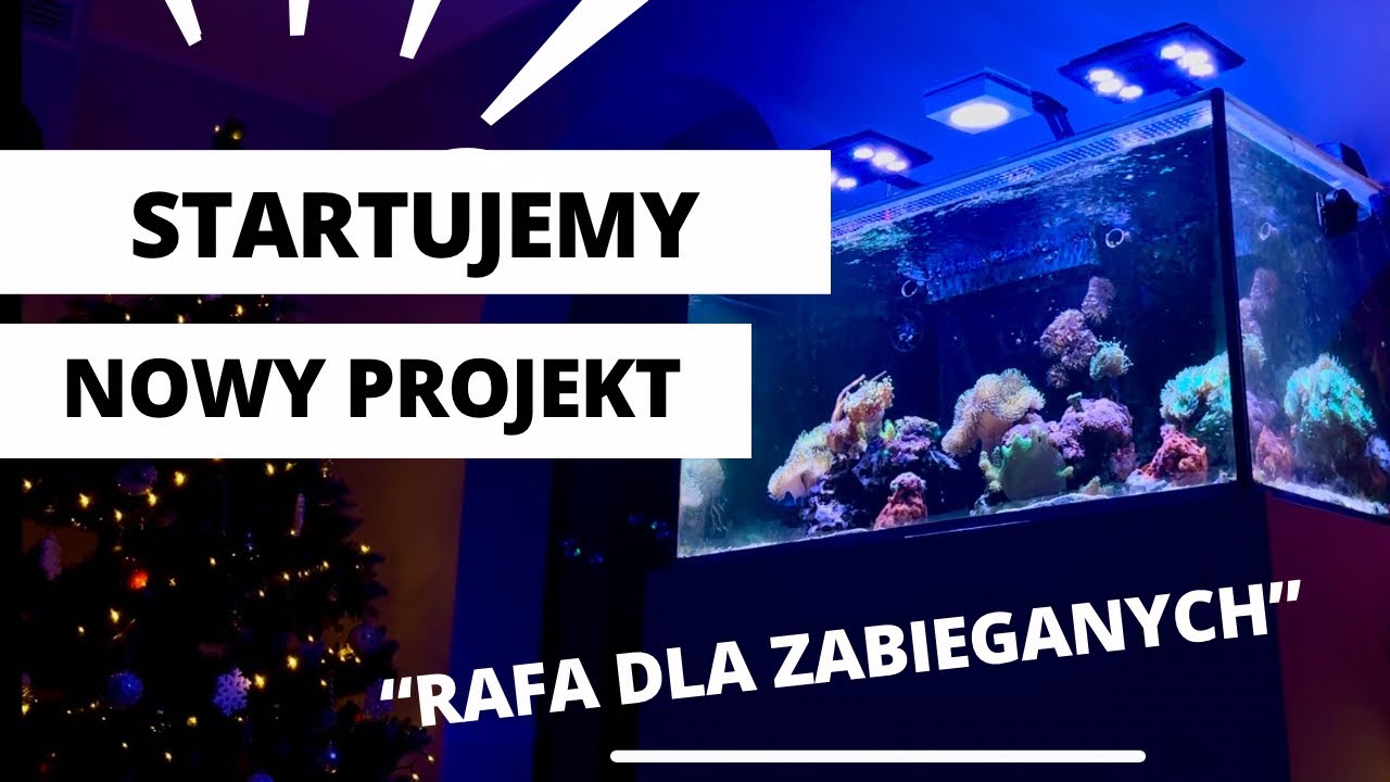 RAFA DLA ZABIEGANYCH - ZAKUPY i NOWY PROJEKT. Akwarium morskie 250l