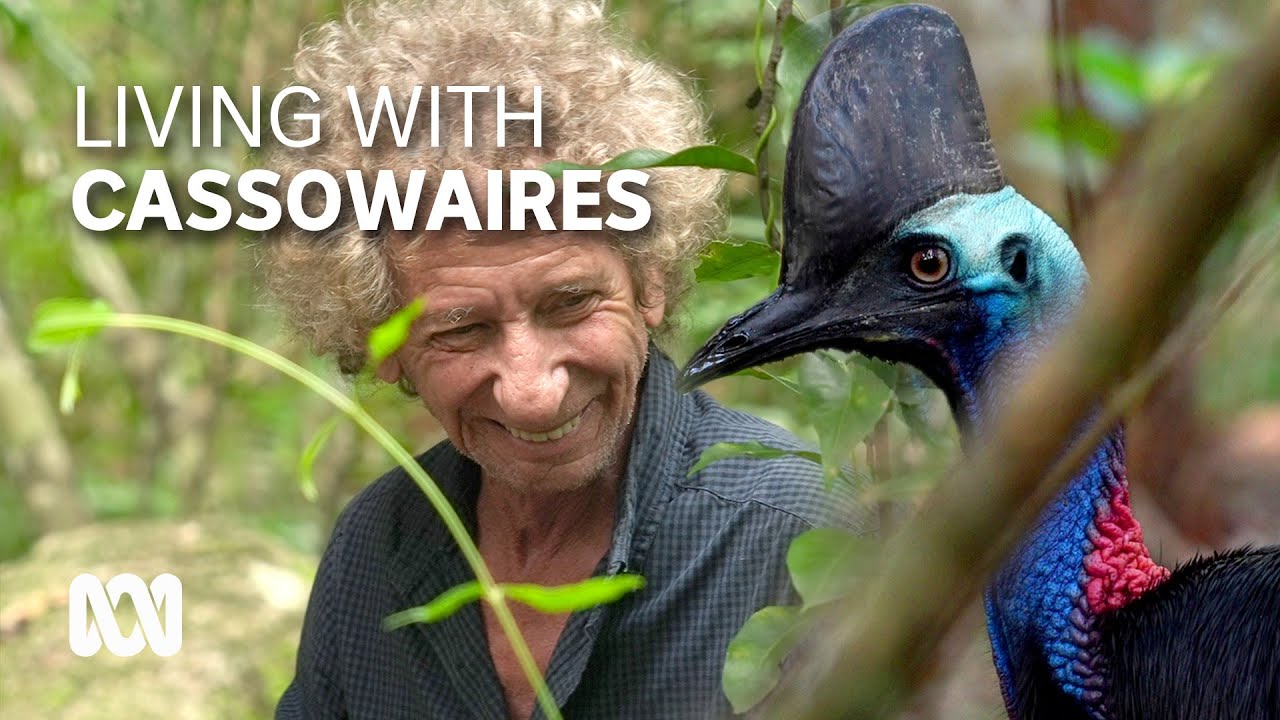 Birdwatcher's paradise - Kenn Parker built a rainforest home among the cassowaries | ABC Australia