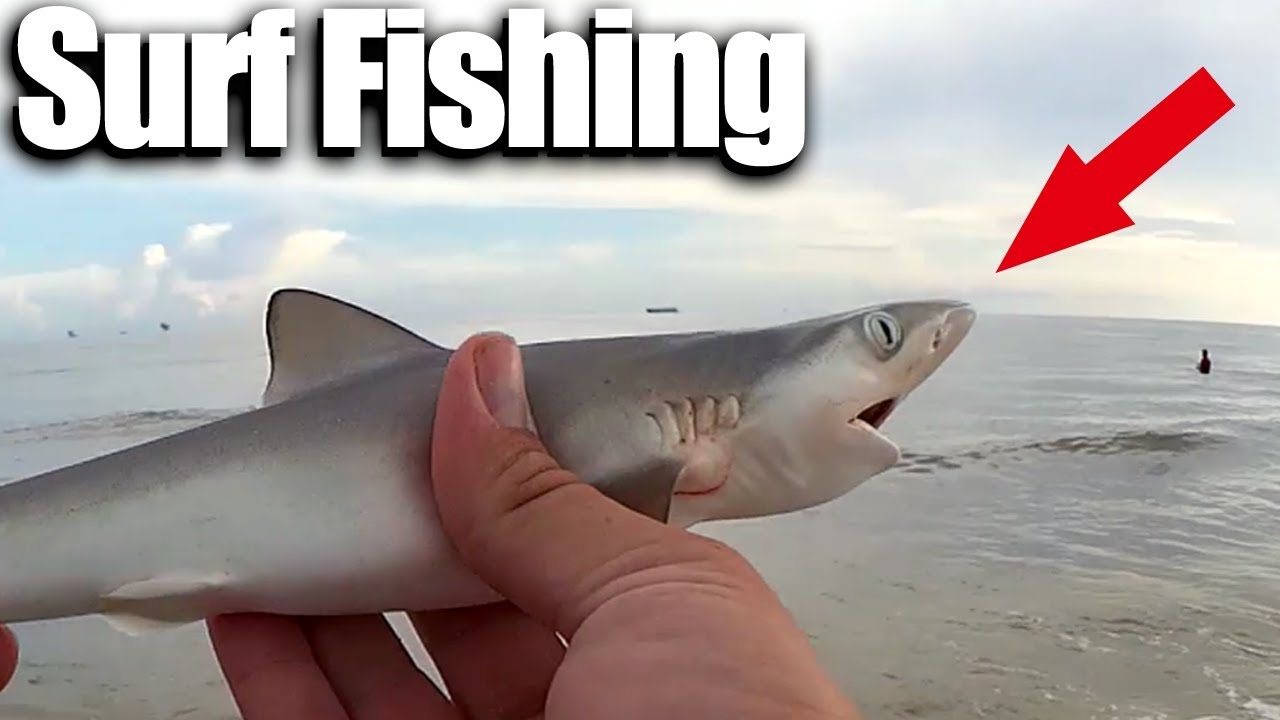 Beginner Surf Fishing - Summer Fishing at the Beach with Shrimp