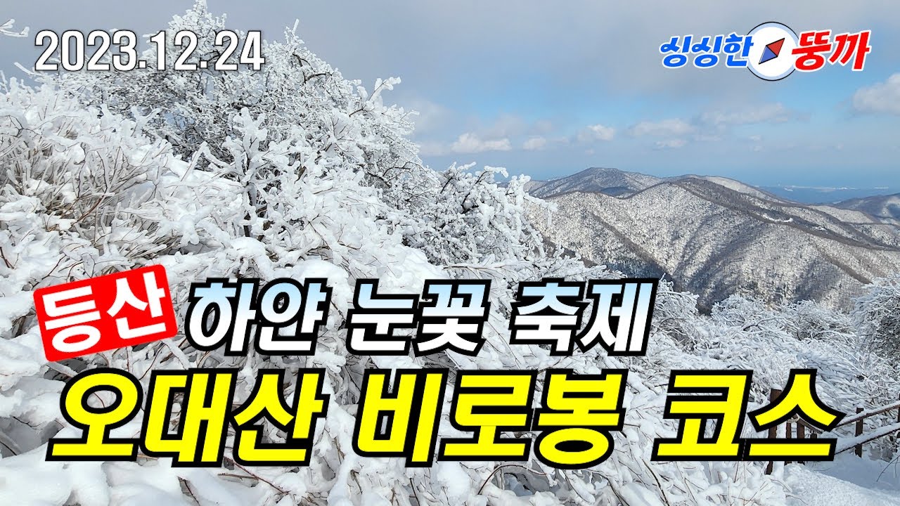 [오대산] 오대산 설경(비로봉코스) : 하얀 눈꽃 축제 ❄️