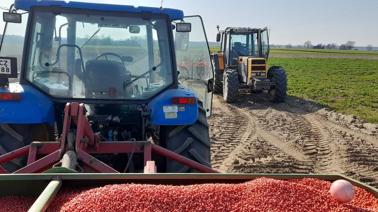 SIEWY GROCHU DZIEŃ DRUGI .RENAULT 145-14 TX & NEW HOLLAND TL 100 . AGRO-MASZ & AMAZONE .