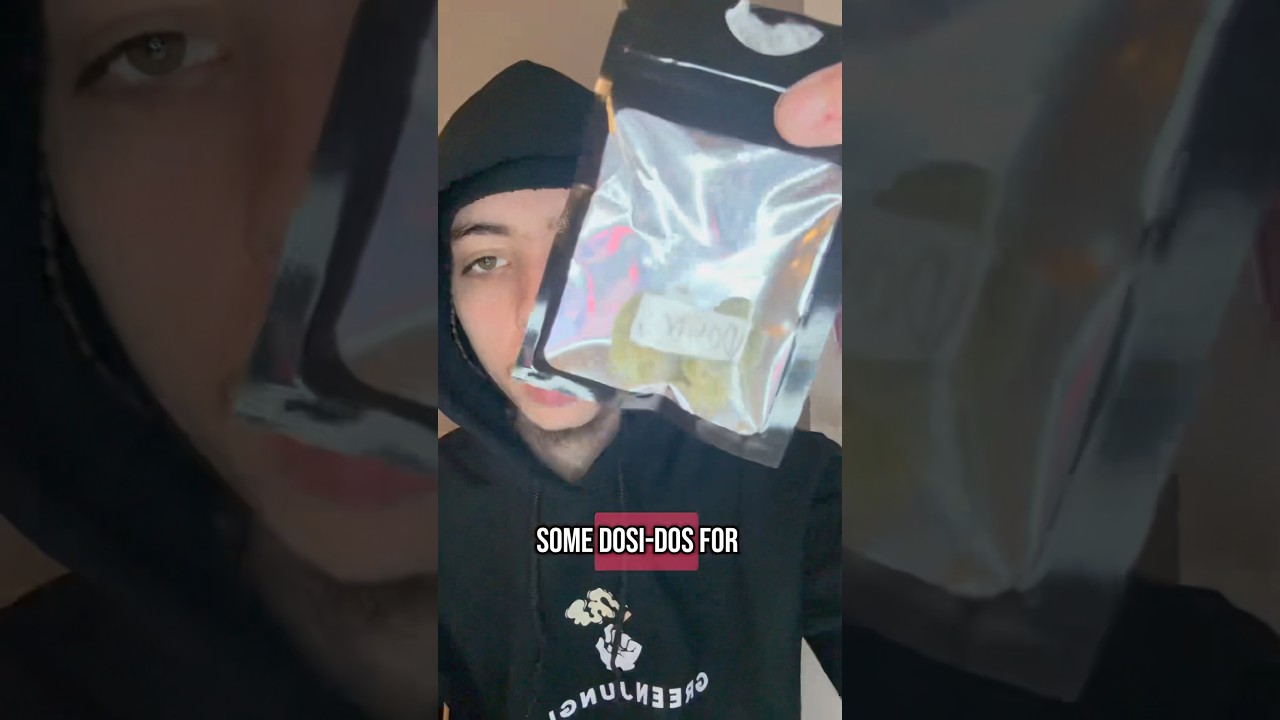 Dosi-Dos Review⛽️