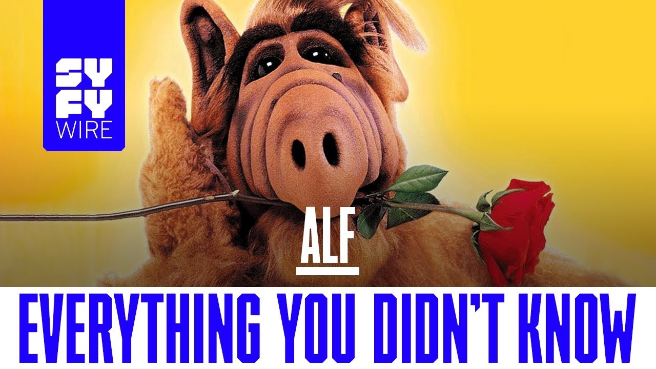 ALF: Everything You Didn't Know | SYFY WIRE