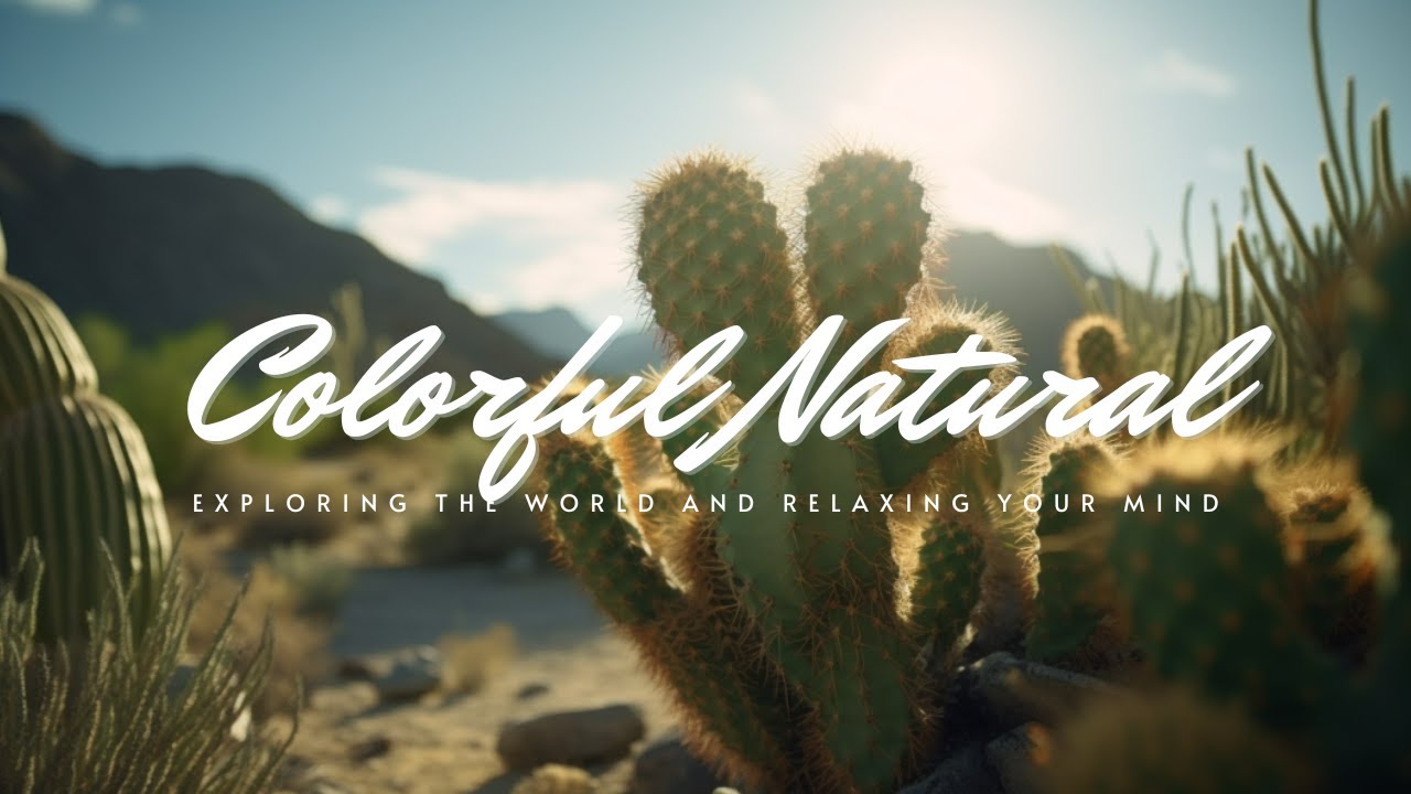 🌵🎶 Calm Among the Cacti: Relaxing Melodies Inspired by the Desert
