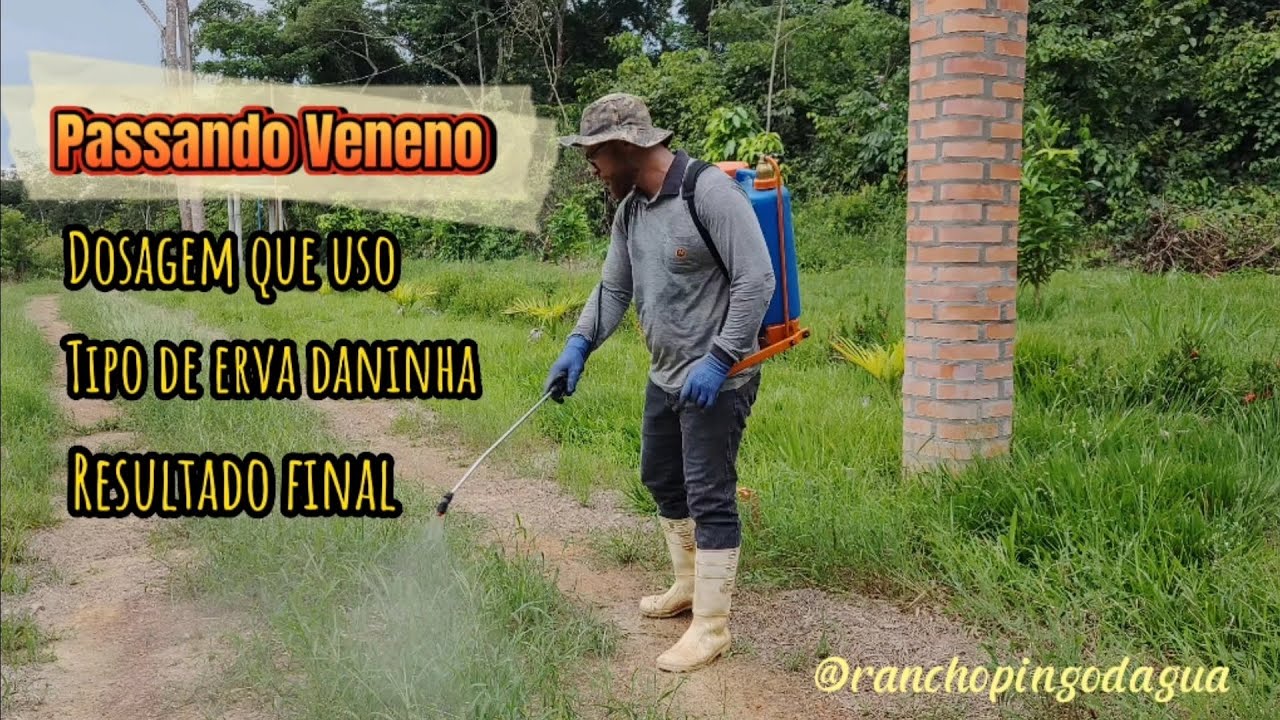Passando veneno Roundup Original Mais na entrada do Rancho
