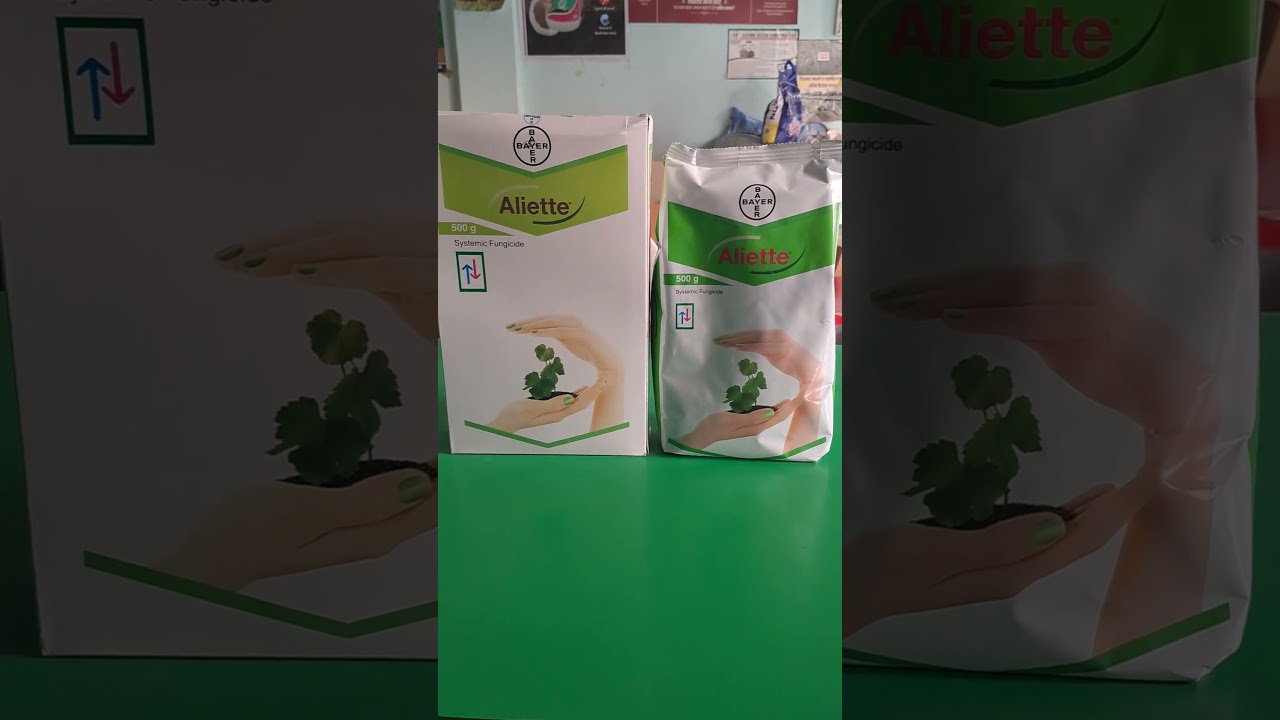 Bayer Aliette systemic fungicide fosetyl aluminium 80% wp #bayer #aliette #systemicfungicide #cumin