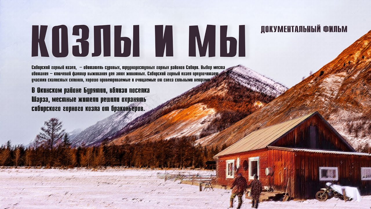 Козлы и мы