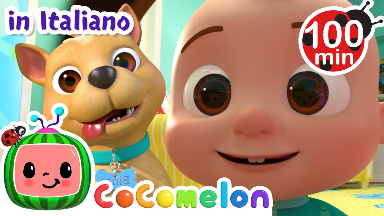 Bingo, Il Cagnolino Dolcissimo 🦴🐶 | CoComelon | Moonbug Kids - Cartoni Animati