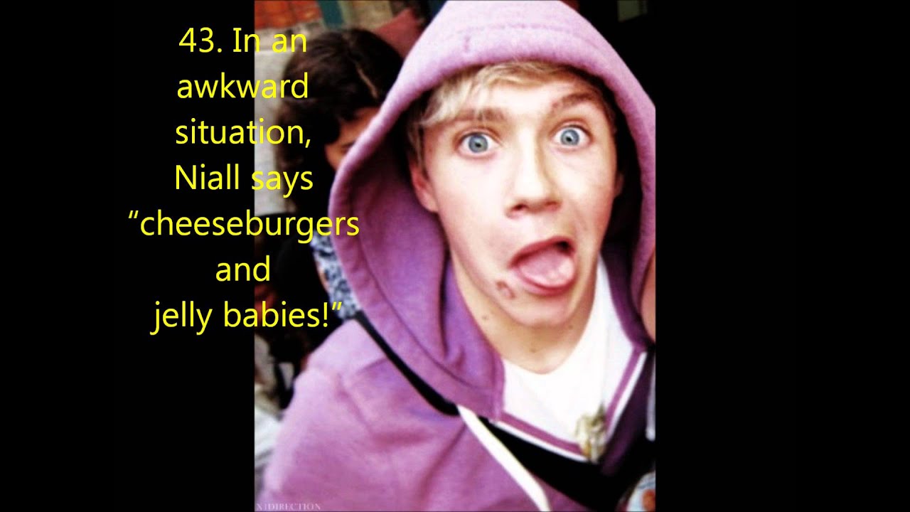 111 Niall Horan Facts