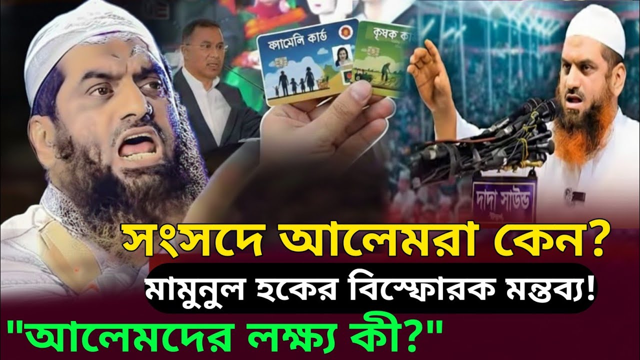 তর্কসাপেক্ষ): সংসদে আলেমরা গেলে কী করতেন? আল্লামা মামুনুল হকের কালজয়ী আলোচনা।