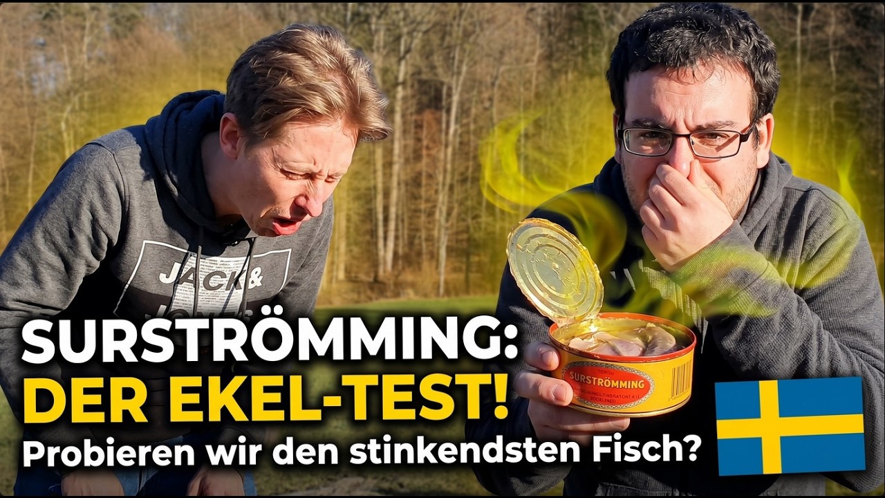 Surströmming fermentierter Fische aus Schweden