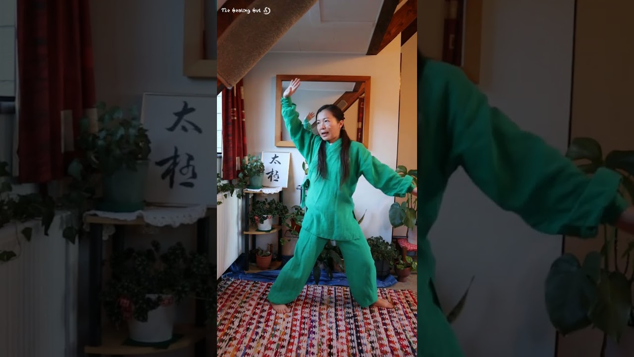 Tai Chi Transition-waist engagement -Wudang 9-Form Tai Chi-Part the Horse Mane-Tai Chi for beginners