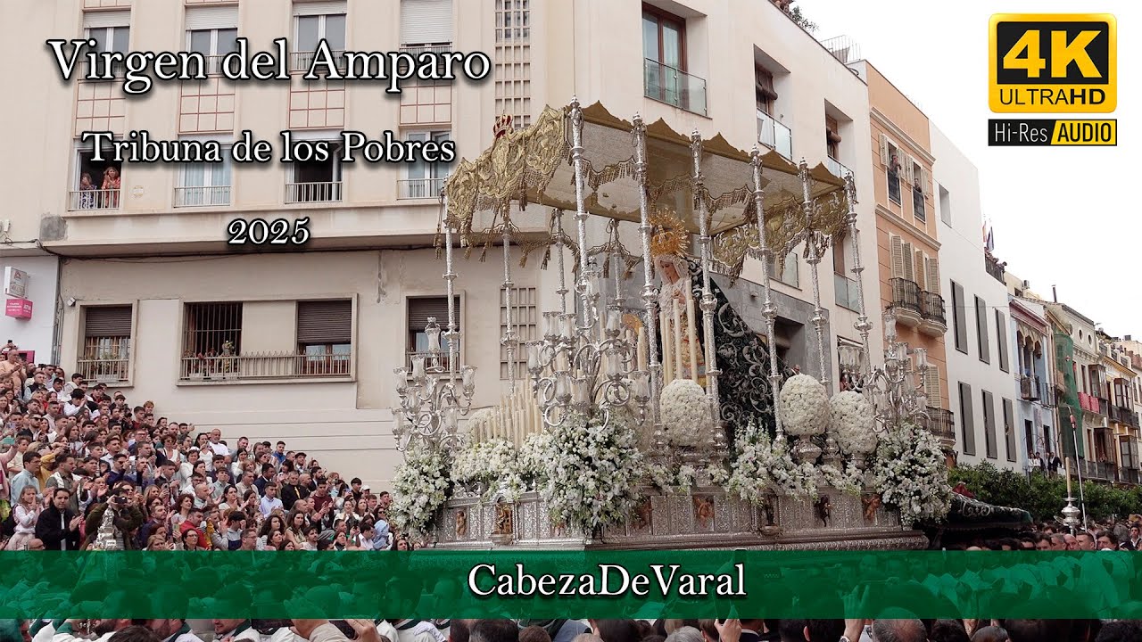 VIRGEN DEL AMPARO TRIBUNA DE LOS POBRES | COMPARSA DE ALHAURIN EL GRANDE | MÁLAGA 2025