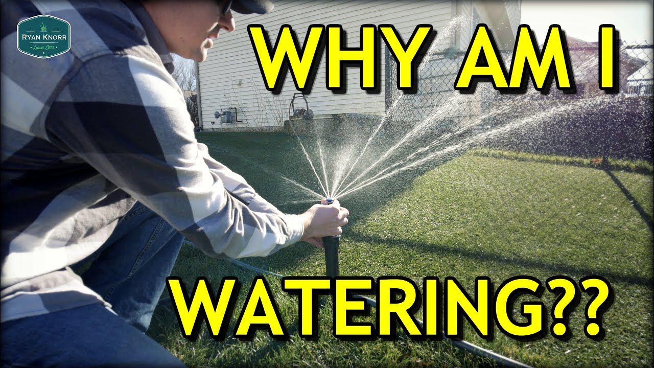 Should You WATER Your Lawn in WINTER??