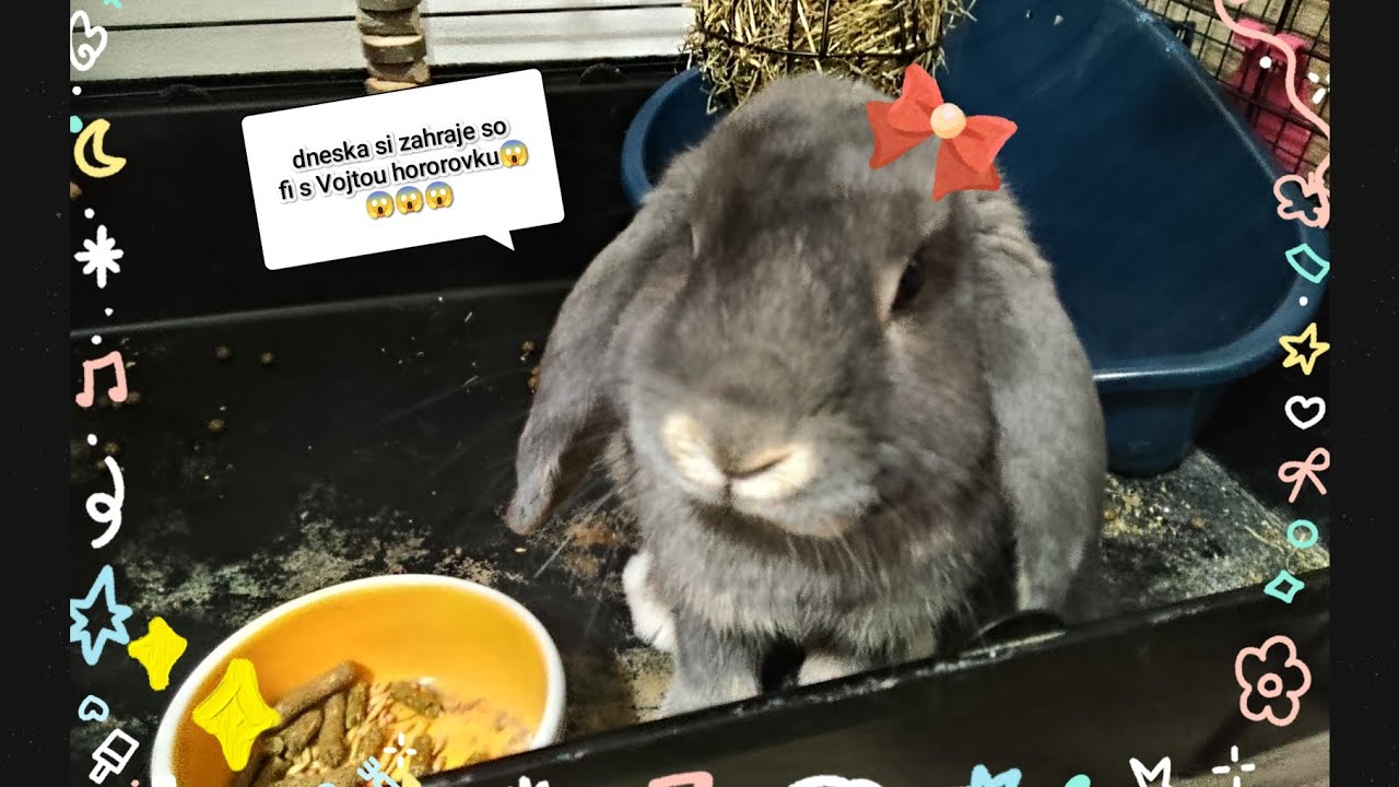 Dneska jsme s Vojtou hráli roblox hororovku😨😨😲