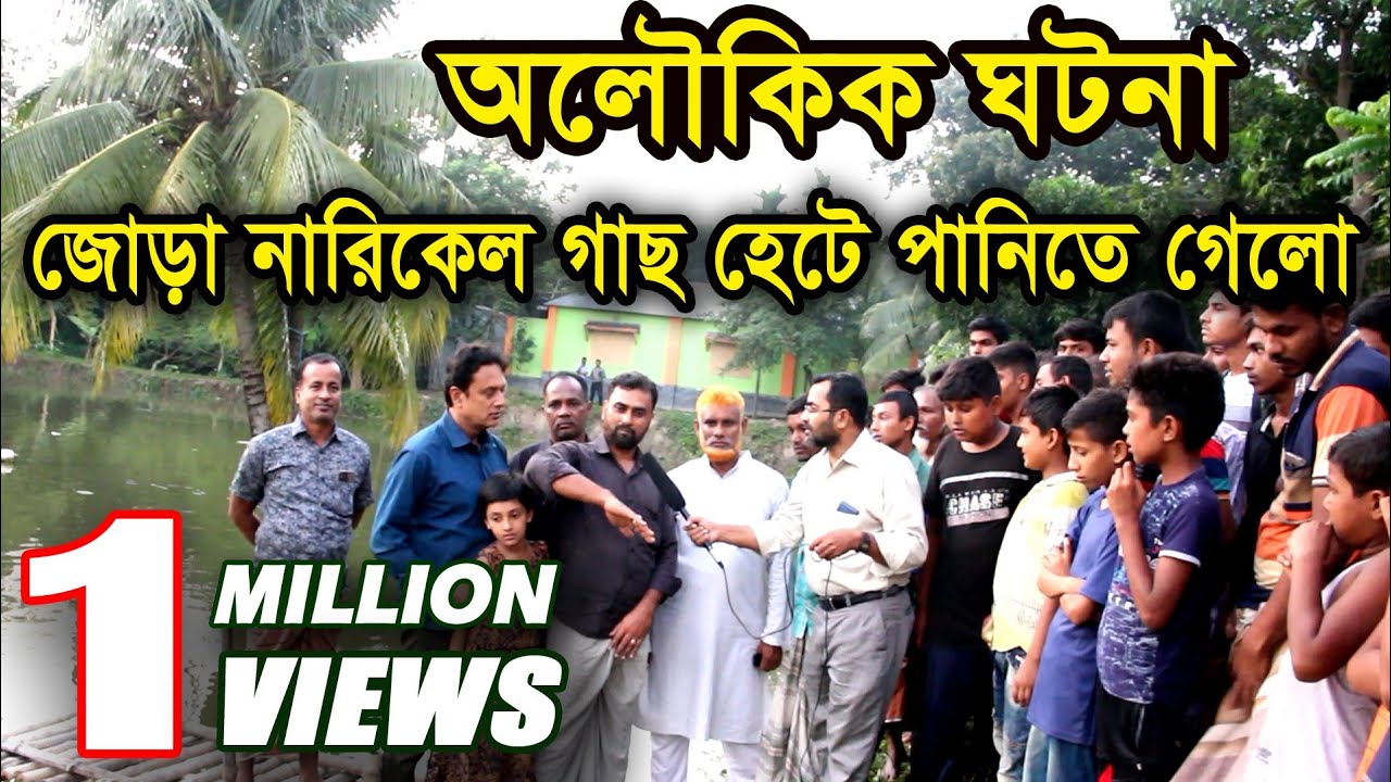 পাবনায় পুকুরের পানিতে অলৌকিক ভাবে দেখা মিললো জোড়া নারিকেল গাছের | Super Natural Fact