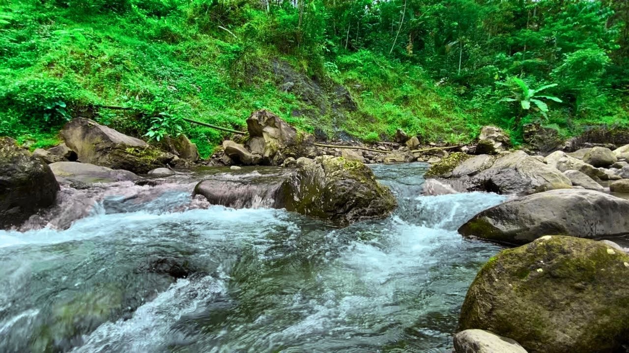 Peaceful River Ambience for Deep Relaxation