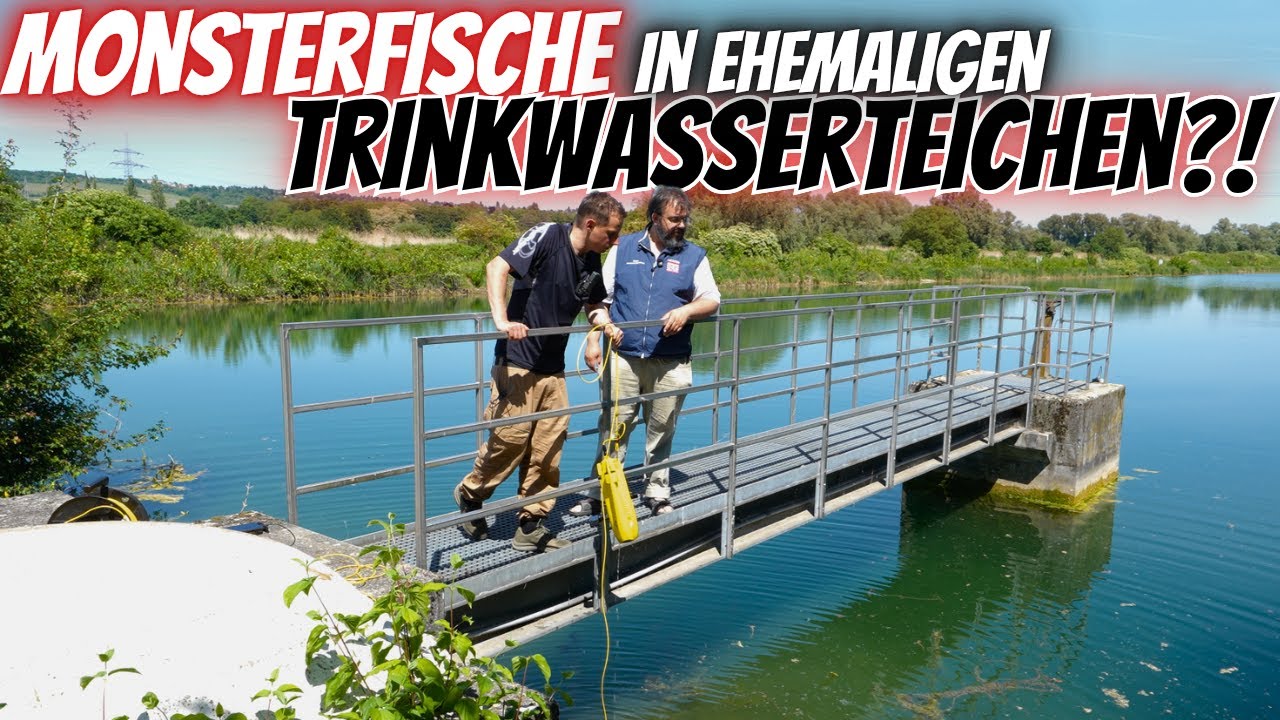 Gefährliche Fische im Naturschutzgebiet? Naturschutzbehörde ermittelt!