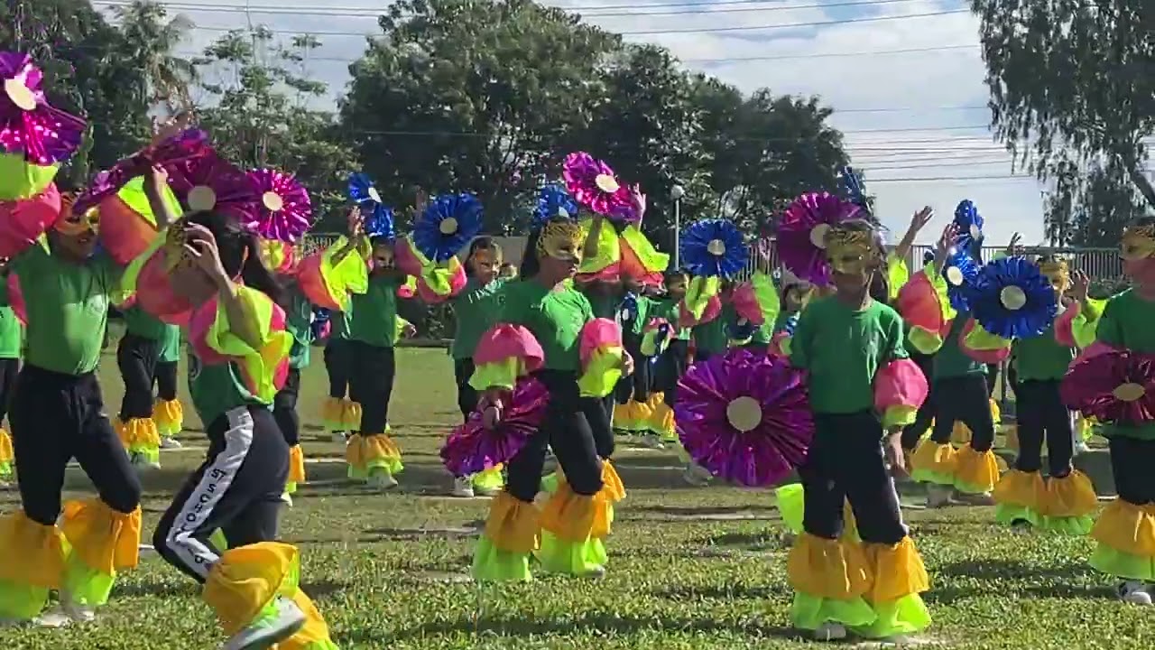 Field demonstration 2024-2025 G3 SSA-B
