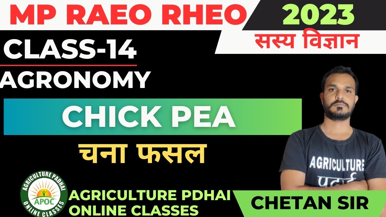 Class-14 | Gram | Chick Pea | चना | MP RAEO RHEO SADO | Pulse Crops | By Chetan Sir