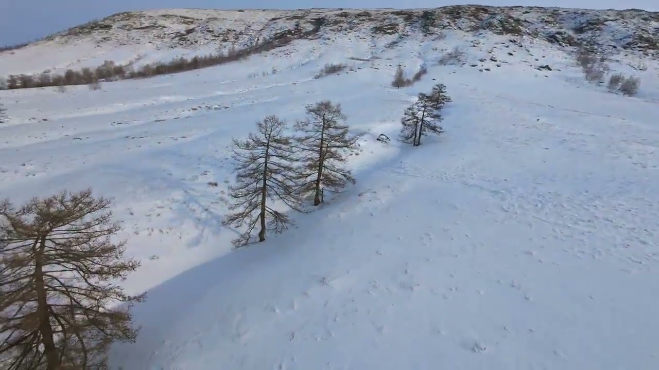 February